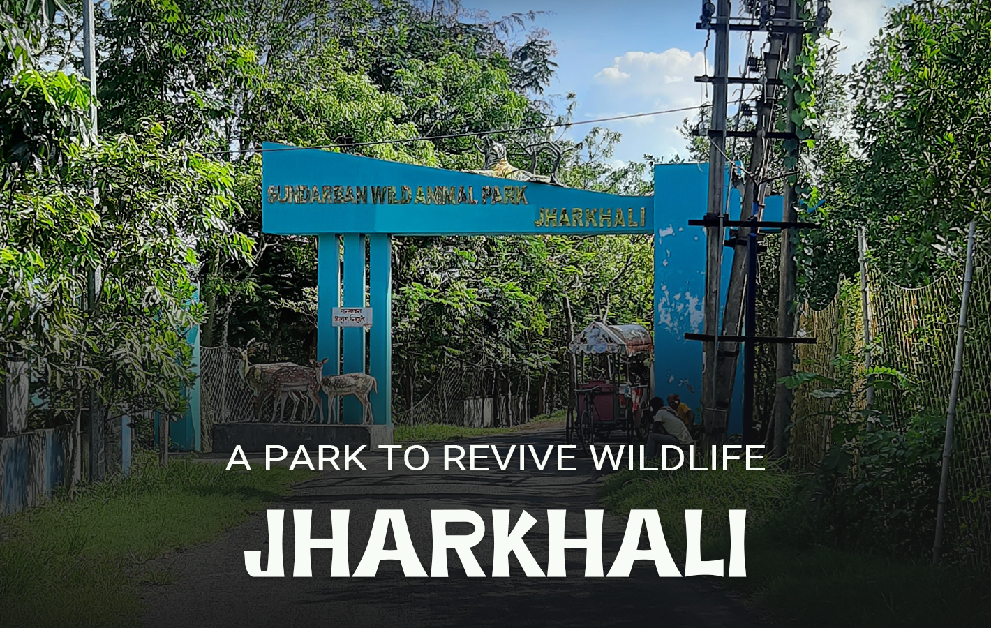 Jharkhali island and village